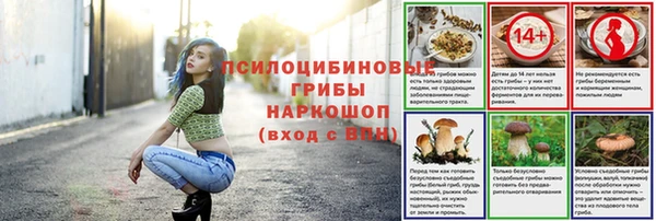винт Баксан