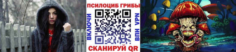 где купить   Вятские Поляны  Псилоцибиновые грибы мухоморы 
