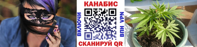 Конопля THC 21%  Вятские Поляны 
